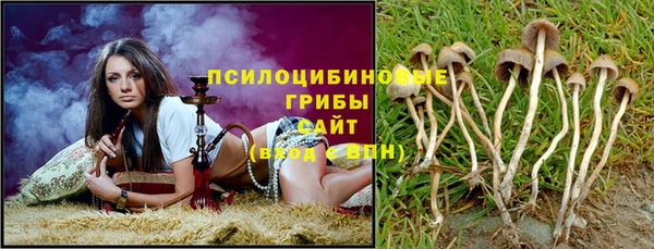 PSILOCYBIN Верхнеуральск