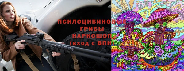 сатива Бородино