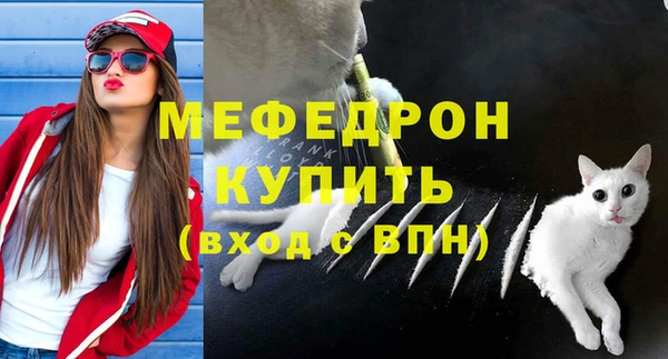 сатива Бородино