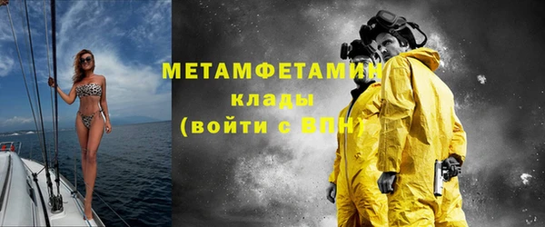 сатива Бородино