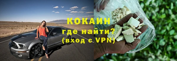 сатива Бородино