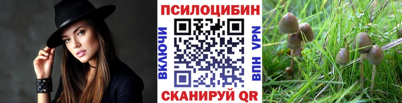 Псилоцибиновые грибы MAGIC MUSHROOMS  Долинск 